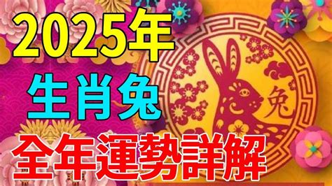 屬兔 幸運色|【屬兔2024生肖運勢】是非多人氣旺，運勢漸入佳。